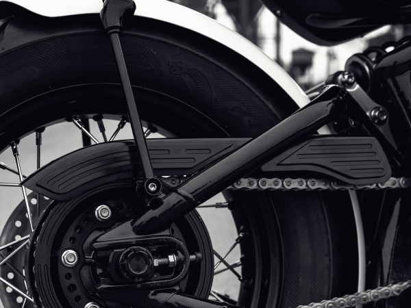 triumph-kettenschutz-abdeckung 
